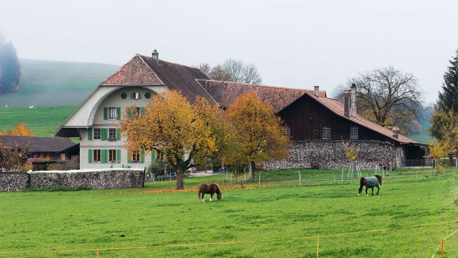Landwirtschaftlicher Pachtbetrieb Lerchenboden der Burgergemeinde Burgdorf